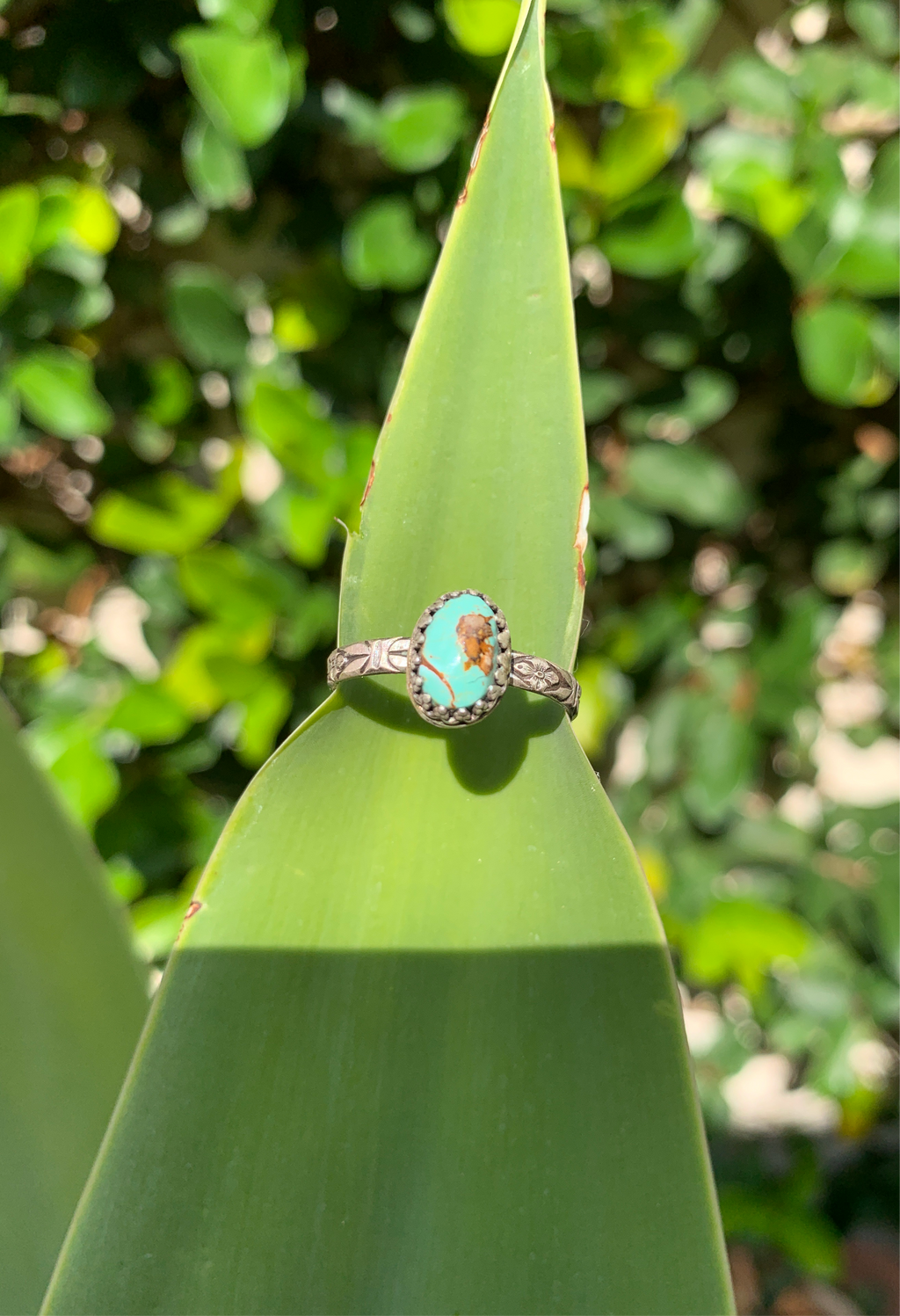 ~ Kings Masanna Turquoise ~ {Size 9}