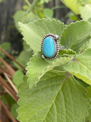 ~ Kings Manassa Turquoise Ring ~ Size 5.75