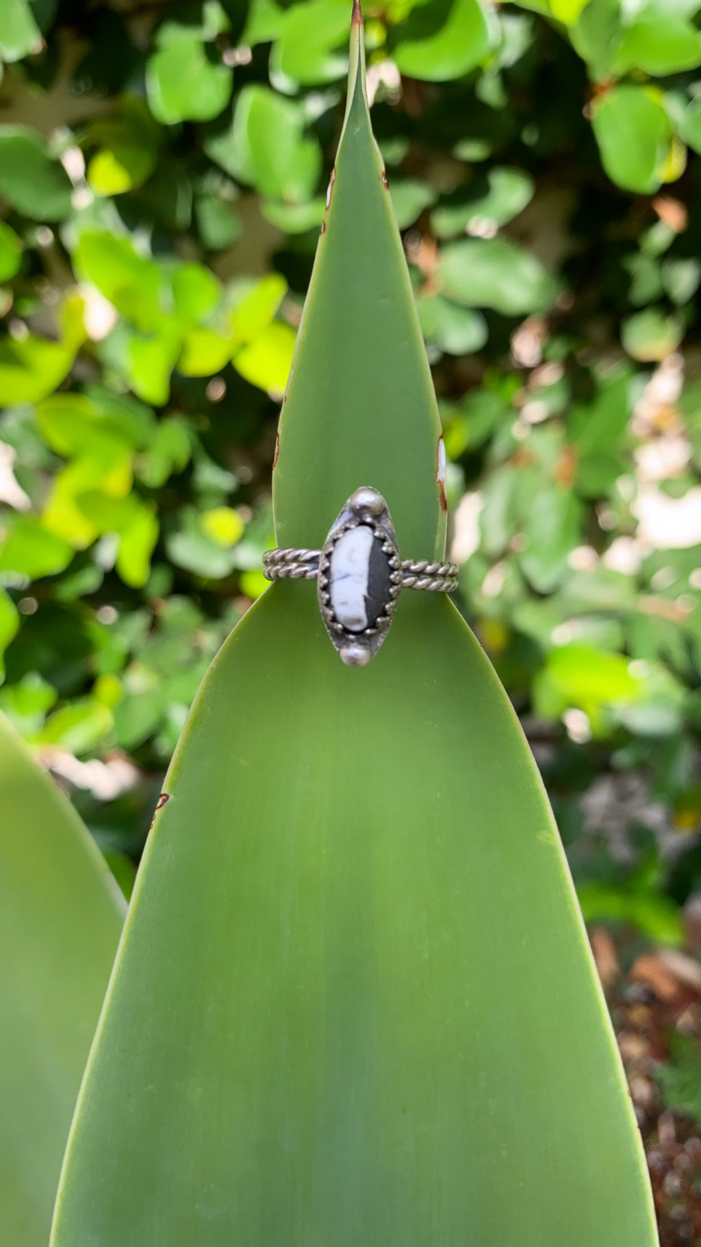 ~ White Buffalo ~ {Size 7}