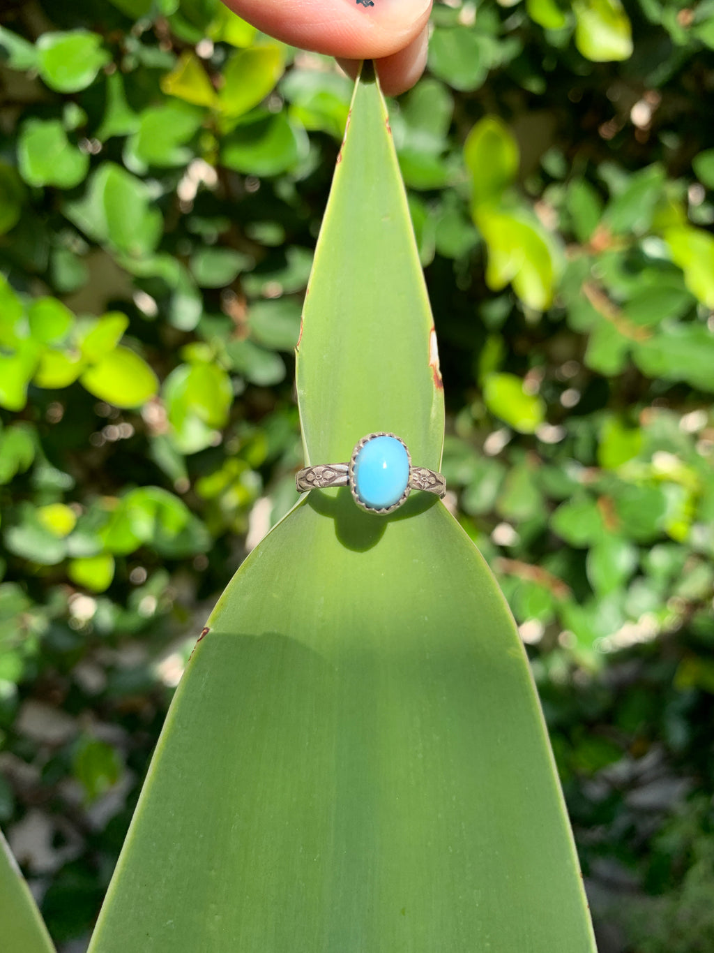 ~ Golden Hills Turquoise ~ {Size 7}