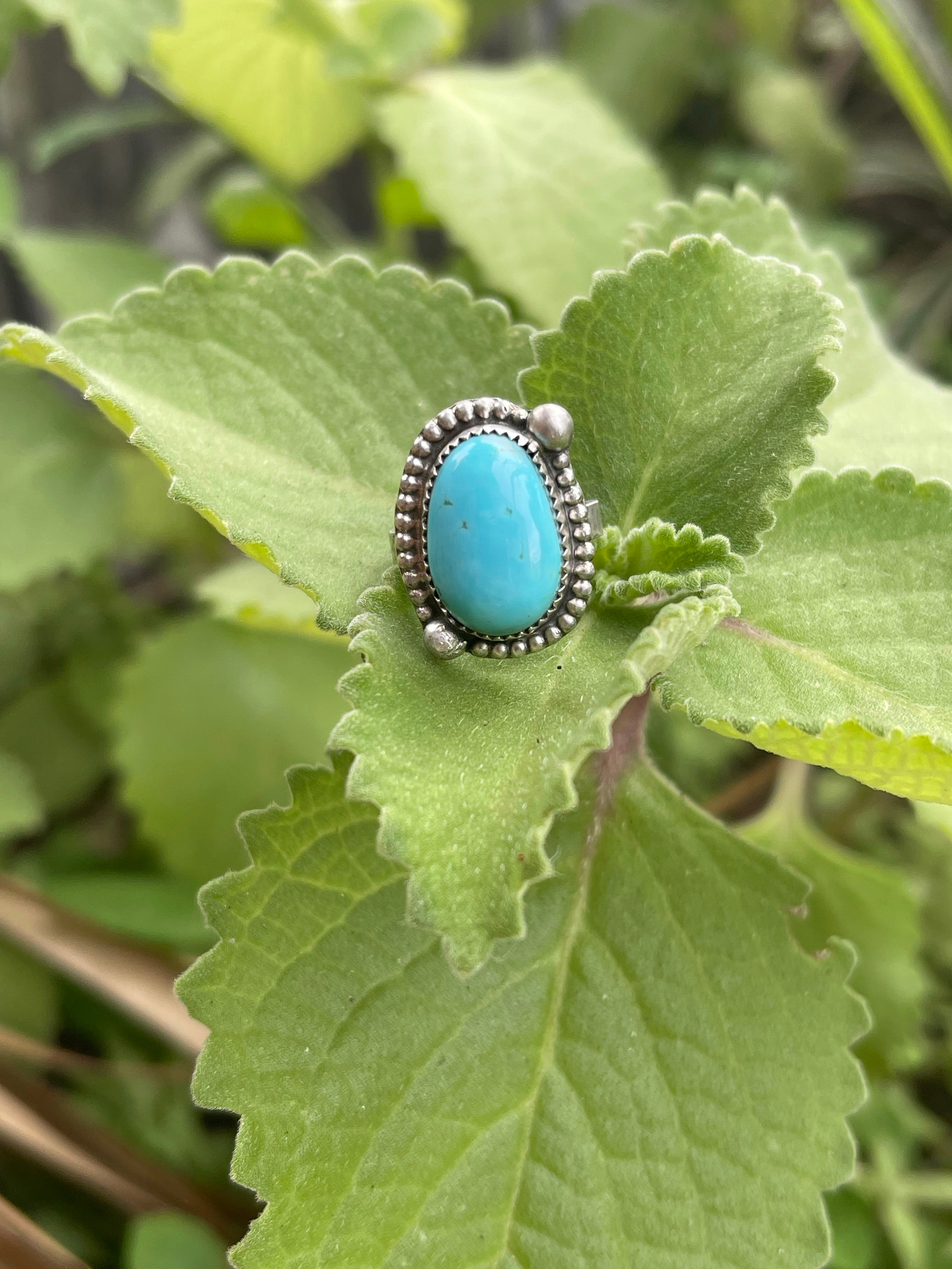 ~ Kings Manassa Turquoise Ring ~ Size 5.75