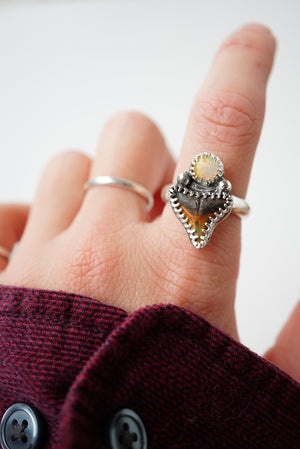 ~Bull Shark Tooth & Welo Opal Ring~ {Size 7.5}